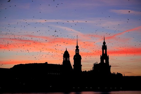 Dresden silhouette in the evening