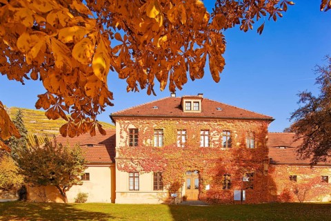 Winery Haus Hoflößnitz