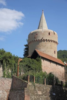 Witches' tower with spire, town wall, Gelnhausen, Hesse, Germany, Europe