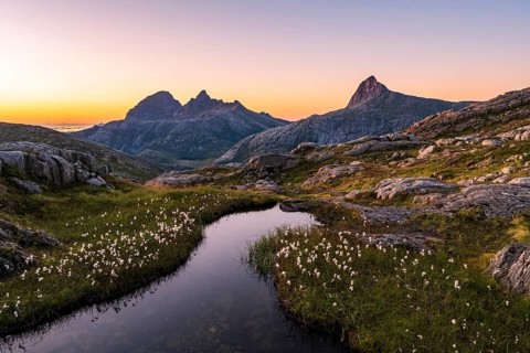 Pond with cotton grass in front of Straumdalstinden and Blokktinden mountains, Østerdalen valley,