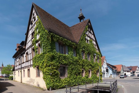 Historical half-timbered house overgrown with wild vines, Köndringen, Baden-Württemberf, Germany,