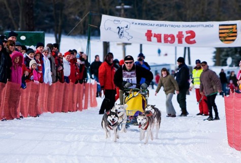 Sled dog race in Nassau Erzgeb