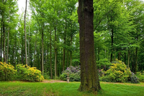 Gaussig Castle Park
