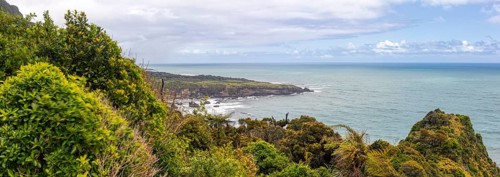 Coast of the Western South Island, between Charleston and Te Miko, New Zealand, Oceania