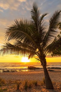 Playa Santa Teresa, Santa Teresa, Peninsula de Nicoya, Guanacaste, Costa Rica, Central America
