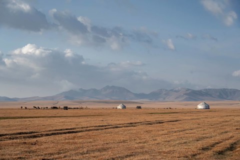 Yurts at Song Kul in autumn, Moldo Too Mountains, Naryn region, Kyrgyzstan, Asia