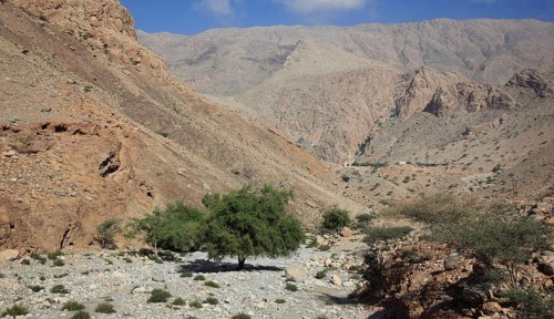Wadi at Al-Jabal al Akhdar, Batinah Region, Oman, Asia