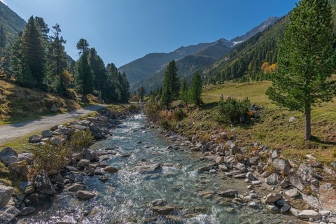 Zamser Bach in the valley Zamser Grund, Schlegeis, hiking trail, coniferous forest, rocks,