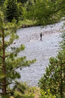 Fox Creek, Colorado, Fishing in the Conejos River in Rio Grande National Forest