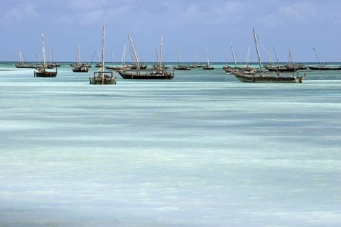 Traditional wooden fishing boats in the Indian Ocean, Zanzibar, Tanzania, East Africa, Africa