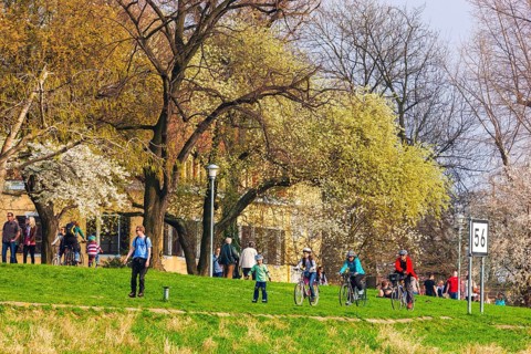 Spring on the Königsufer in Dresden