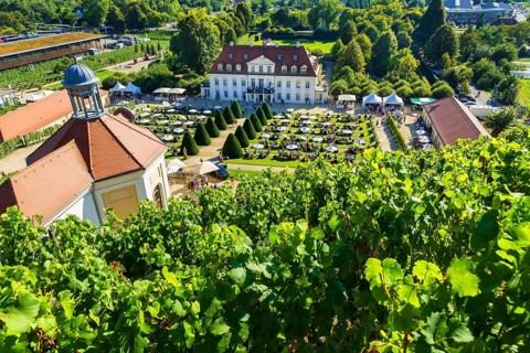 Wackerbarth Castle or Wackerbarths Ruh is a Baroque castle surrounded by vineyards in the