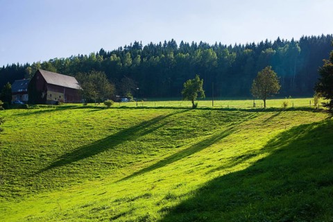 Scharfenstein