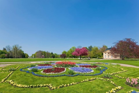 Large garden in Dresden