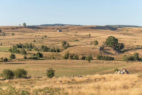 Landscape in Aubrac in summer, inspiring, infinite, enchanting, magical, peaceful, bewitching.