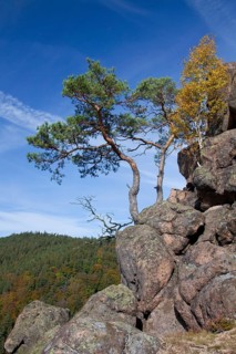 View from the Ilsestein, Ilsestone near Ilsenburg in the Ilsetal, Harz Mountains, Thale,