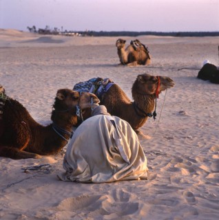 Tunisia with Hammamet by the sea on12.3.1992, TUN, Tunisia, Africa