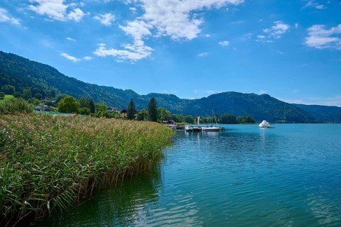 Lakeside, reed, sky, clouds, summer, Ossiach, Lake Ossiach, Carinthia, Austria, Europe