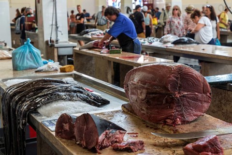 Tuna and black scabbardfish (Aphanopus carbo), fish market, Mercado dos Lavradores market hall,