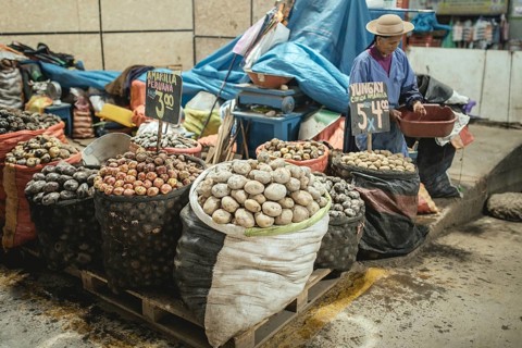 Potato variety, Mercado Mayorista, Huancayo, Peru, South America