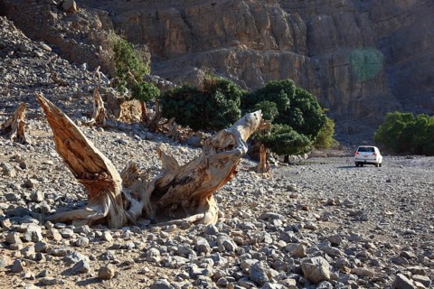 Landscape in the Jebel Harim area, in the Omani enclave of Musandam, Oman, Asia