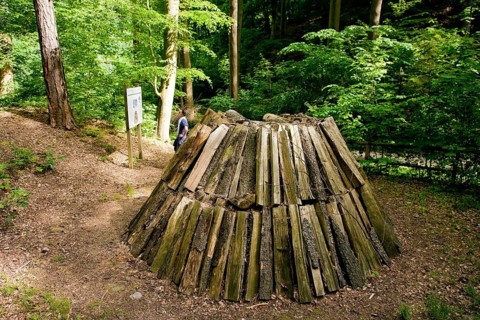 Pile in Tharandt