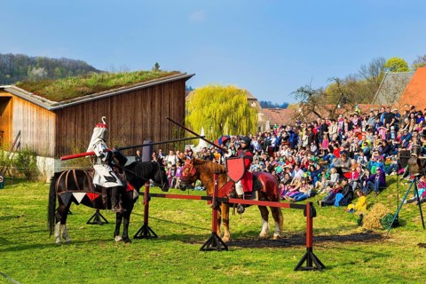 Knights Tournament Altzella