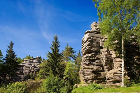 Griffin stones