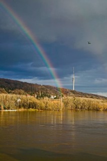 Elbe view from blauen Wunder