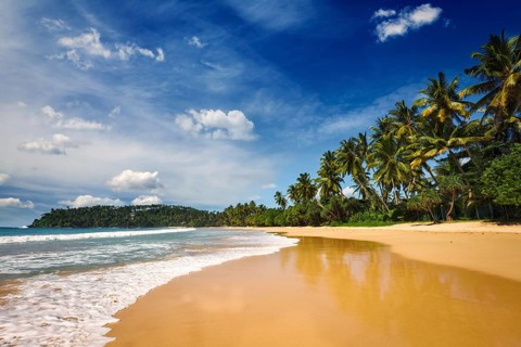 Tropical vacation holiday background, paradise idyllic beach. Mirissa, Sri lanka