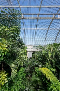 Palm House, oldest Victorian greenhouse in the world, Royal Botanic Gardens, Kew, London, England,