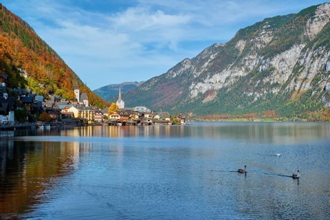 Austrian tourist destination Hallstatt village on Hallstatter See lake in Austrian alps with geese