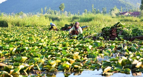 Tourism from Europe in the Indian part of the Himalayas, in the parts of Ladakh and Kashmir,