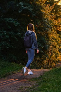 Rear view of a female hiker walks along forest path in rays of sunset