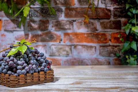 Blue burgundy grapes in baskets in front of brick wall, copying room