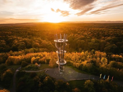 Aerial view of the Schönbuchturm in autumn forest at sunrise, Herrenberg, Germany, Europe