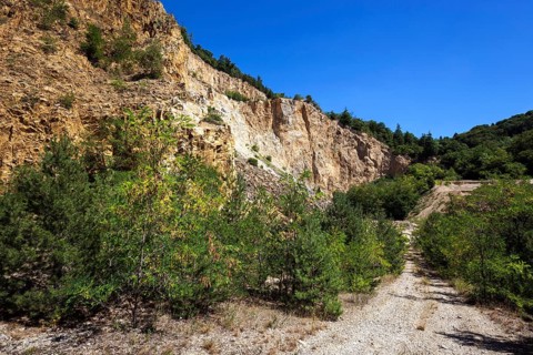 Disused Vatter porphyry quarry, Dossenheim, Baden-Württemberg, Germany, Europe