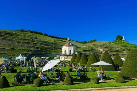 Winery Wackerbarth Castle