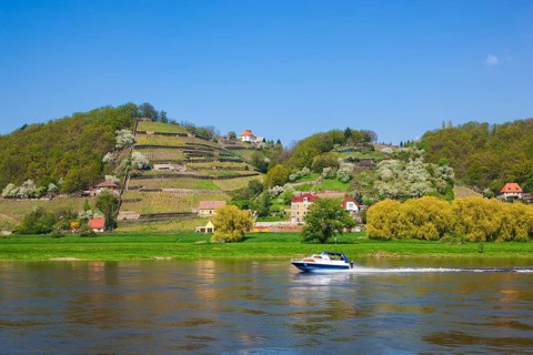 Elbe at the Boselspitze