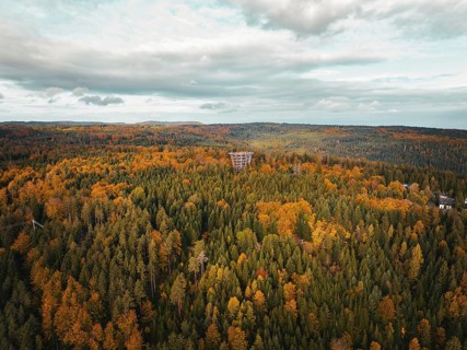 Aerial view of the observation tower treetop walk in the autumn forest, Bad Wildbad, Black Forest,