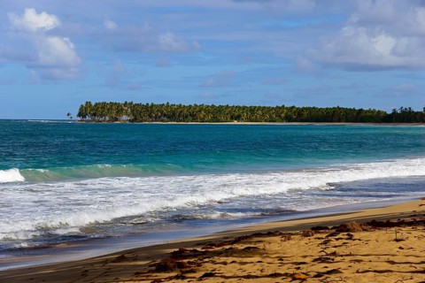 A tropical beach with palm trees in the background and blue ocean under a partly cloudy sky, Limon