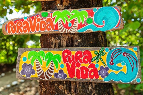 Sign with the life motto Pura Vida, Santa Teresa, Nicoya Peninsula, Guanacaste, Costa Rica, Central