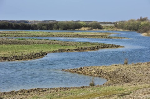 The nature reserve Parc du Marquenterre at the Bay of the Somme, Picardy, France, Europe