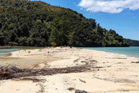 Abel Tasman Coast Track, Apple Tree Bay, Beach, Kaiteriteri, New Zealand, Oceania