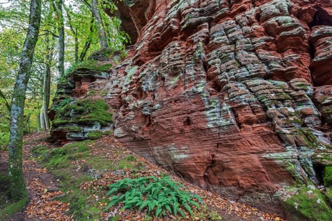 Old castle rock, red sandstone rock formation, natural and cultural monument, Brechenberg near