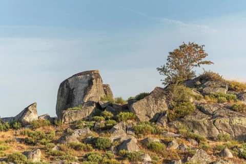 Landscape in Aubrac in summer, inspiring, infinite, enchanting, magical, peaceful, bewitching.