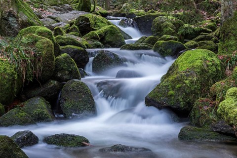 Gertelbach, Gertelbach Waterfalls, Gertelbach Falls, Gertelbach Gorge, Bühl, Bühlertal, Northern