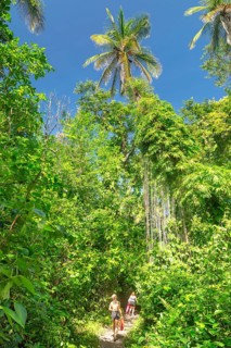 Parque Nacional Cahuita, Limon, Caribbean, Costa Rica, Central America