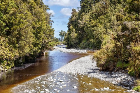 Lake Matheson Trail, New Zealand, Oceania