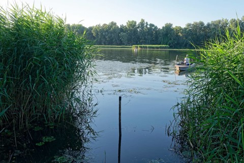 Lake Pince-Lapos in the Hortobagy region, Debrecen, Hungary, Southeast Europe, Europe
